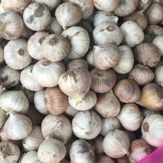 Tỏi cô đơn phan Giang hàng chọn 1kg-3kg