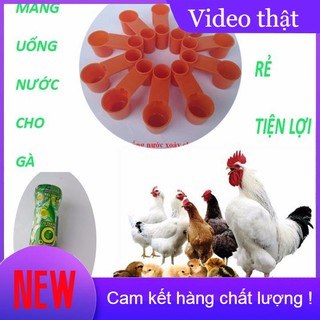 [DN123] Máng uống nước cho gà