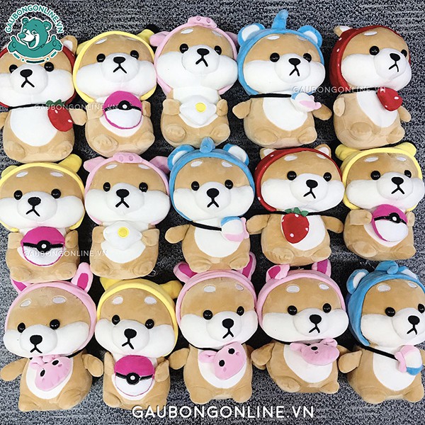 Combo 20 chó Shiba bông bán sỉ giá tốt