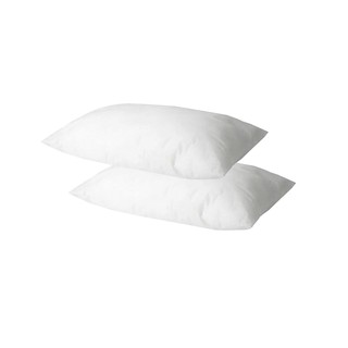 Combo 2 ruột gối nằm 45cm x 65cm - rg02