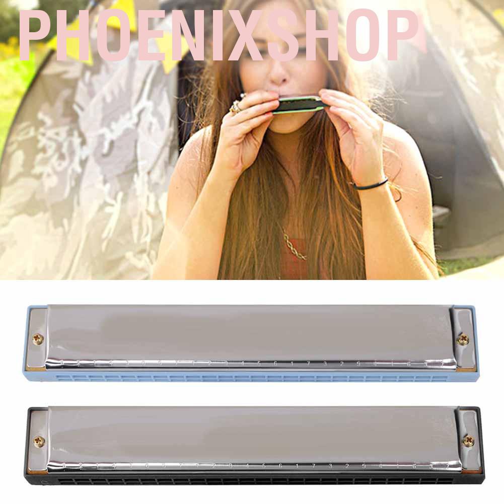 Kèn Harmonica 24 Lỗ Dành Cho Người Mới Bắt Đầu