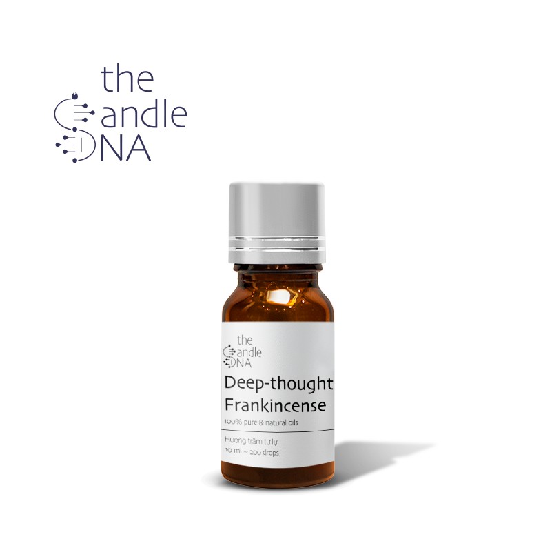 [6 Loại] - Tinh dầu thiên nhiên họ GỖ - 10ml nguyên chất - The Candle DNA