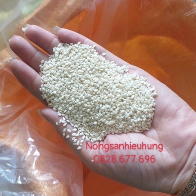 Vừng Nõn1Kg-500gr (Vừng Trắng- Nhân hạt Vừng trắng sấy khô chưa rang)
