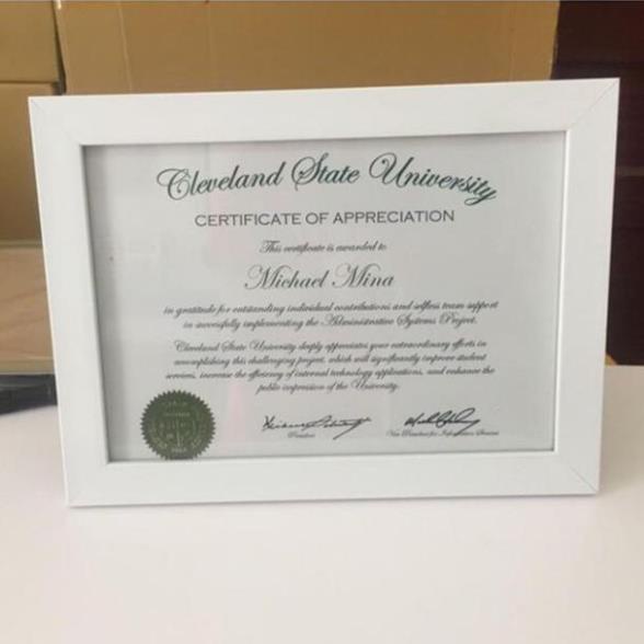 Khung ảnh bằng khen a4  mặt mica