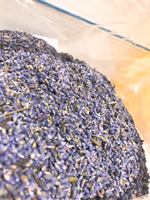 Nụ hoa lavender khô