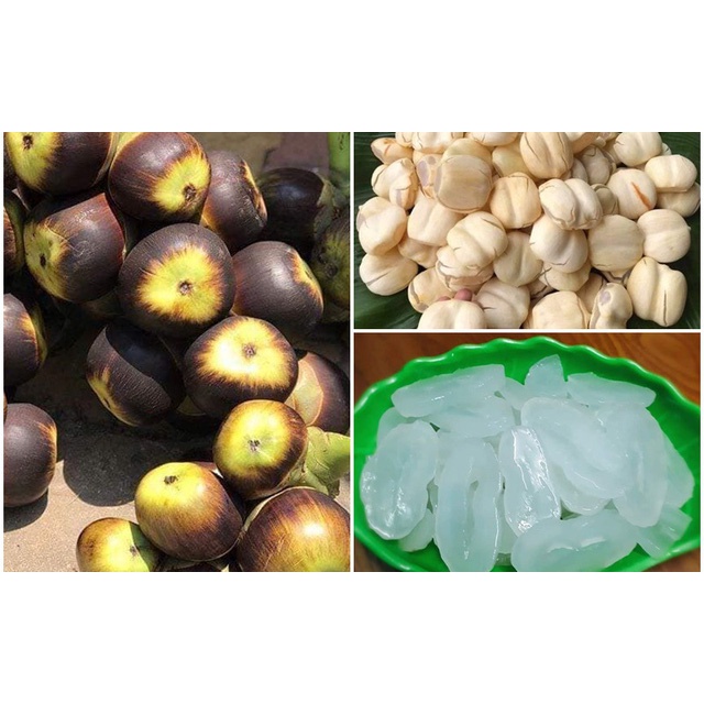 THỐT NỐT SẤY DẺO KHÔNG ĐƯỜNG 500GR