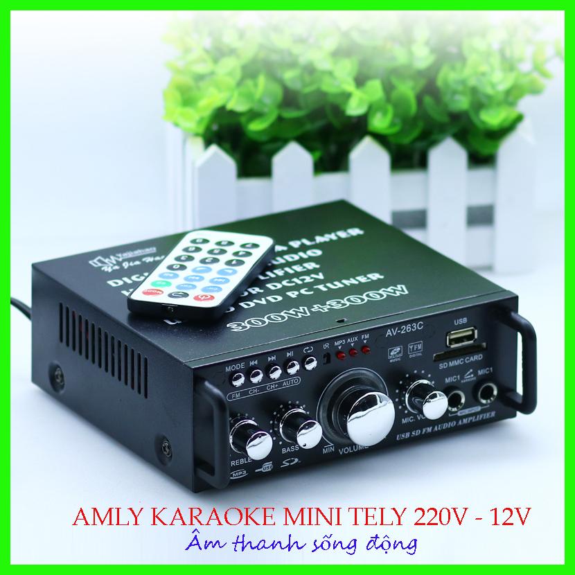 Amly Karaoke gia đình, Amli Bluetooth, Âm ly mini giá rẻbBlJ253 12V-220V Bluetooth - Tích hợp chạy thẻ nhớ, USB