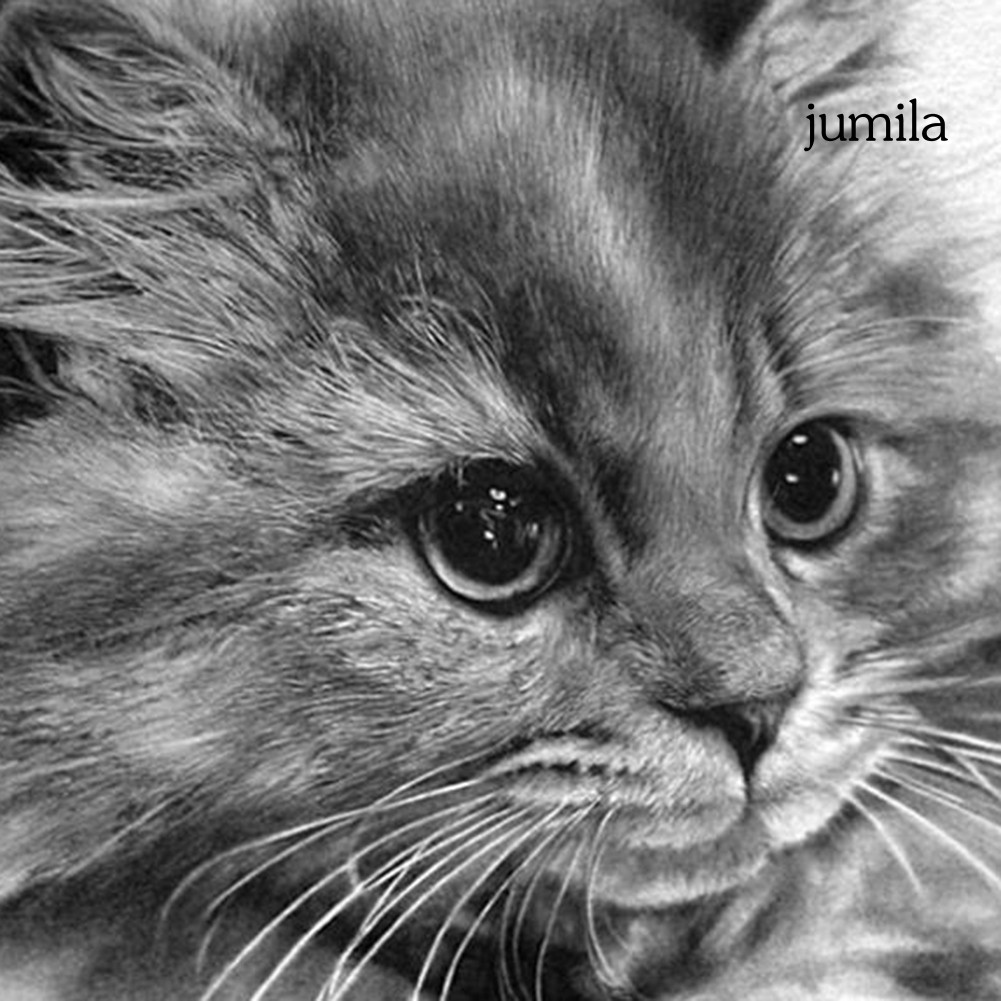 Set 12 Bút Chì Gỗ Màu Cầu Vồng