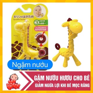 Ngậm nướu Hươu Hàn Quốc chính hãng
