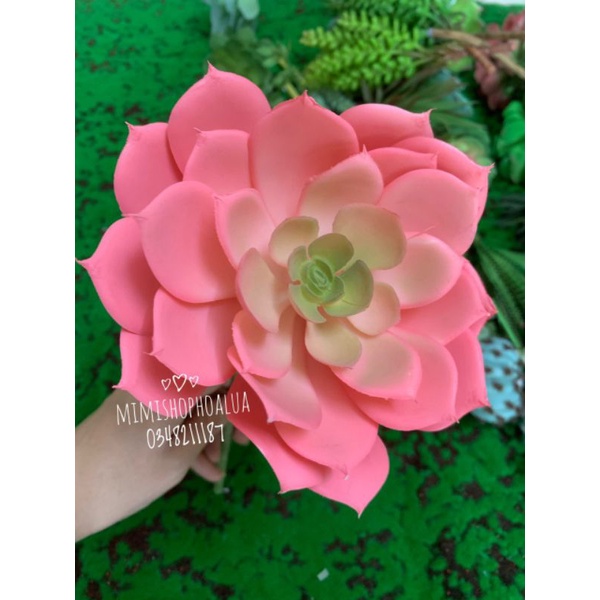 Hoa giả - Hoa Sen Đá to đường kính bông 15cm - giống thật - Cắm hoa để bàn, trang trí nhà cửa.