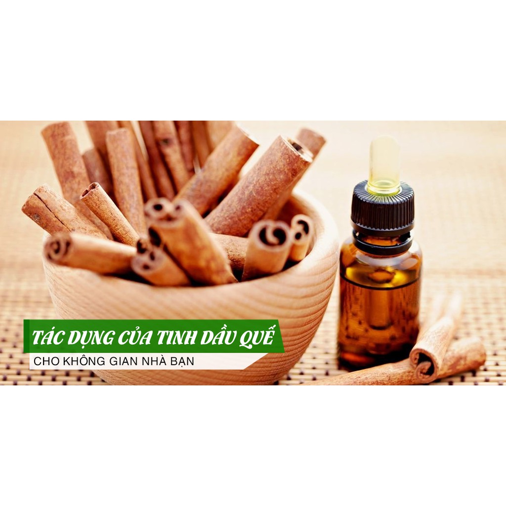 Tinh dầu quế FREESHIPTinh dầu thơm phòng 10ml | 50ml | 100ml | nguyên chất|thư giản|thơm mát|khử mùi|đuổi côn trùng