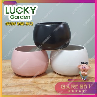 Chậu Hạt Dẻ Nhỏ Bát Tràng Trồng Cây cảnh Mini Để Bàn, Sen Đá, Xương Rồng