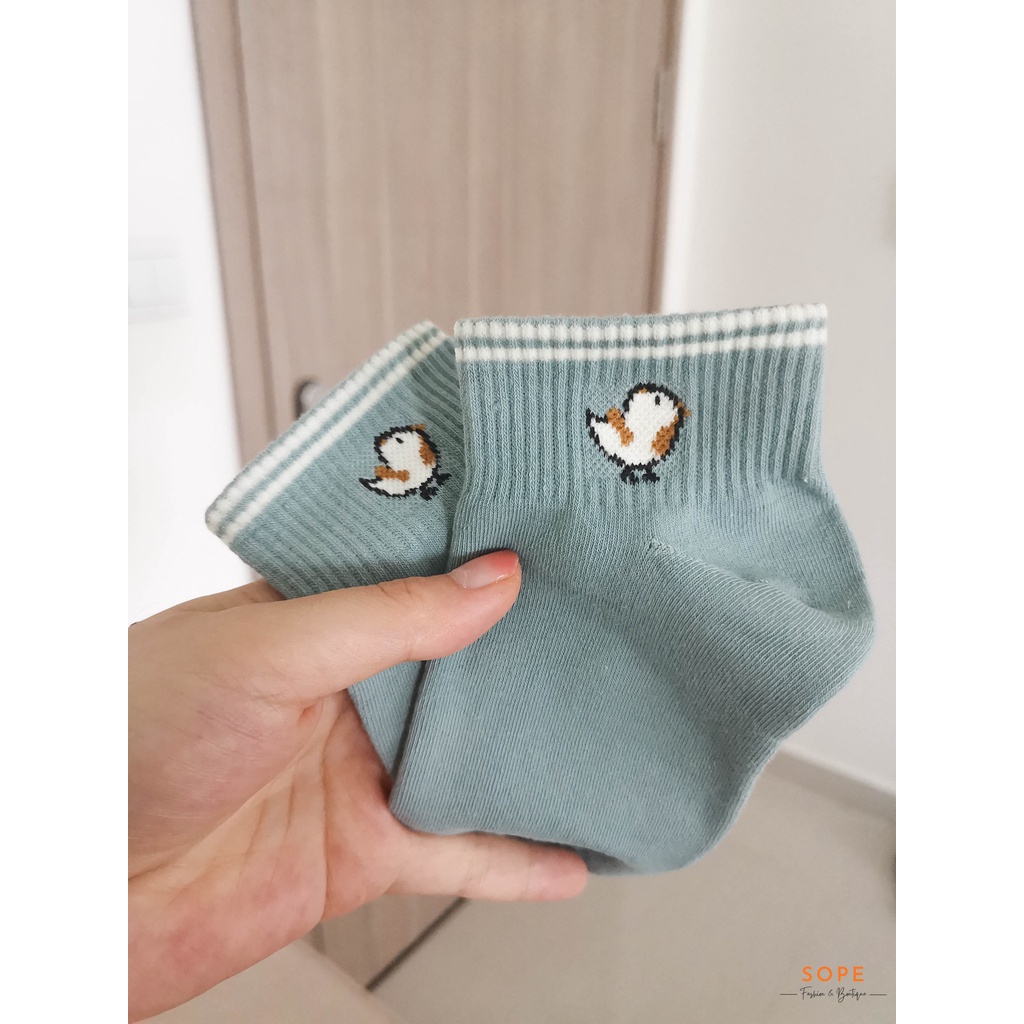Tất cổ ngắn họa tiết hình gà con đáng yêu, set tất vớ chất liệu vải co giãn bốn chiều - Sope Shop