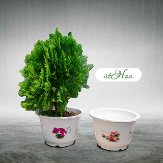 Chậu Bốn Mùa in hoa (size nhỏ và vừa)