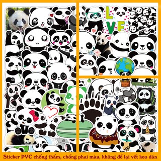 Set 50 Sticker Gấu Trúc Cute Trang Trí Sổ tay, Nhật Ký