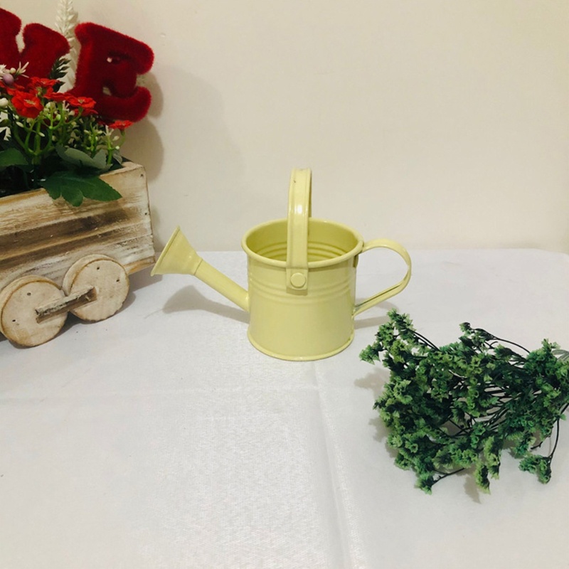 Chậu Trồng Cây Mini Bằng Kim Loại Màu Sắc Ngọt Ngào Có Tay Cầm Tiện Dụng