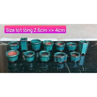 Compo 12 chậu siêu nhỏ trồng sen đá. cây siêu mini
