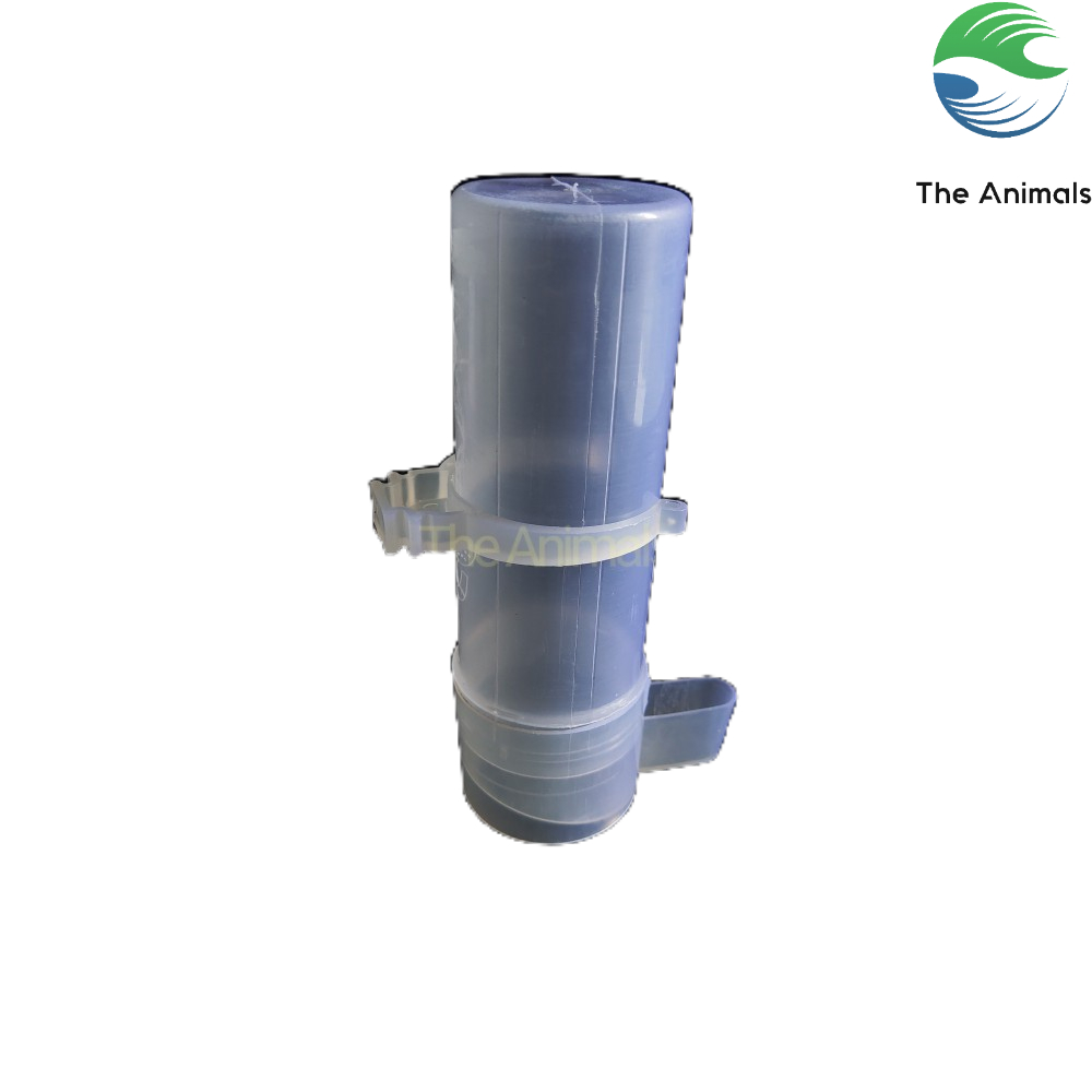 Cóng uống nước cho chim khuyên, chim chào mào, chim hoàng yến, vẹt,...