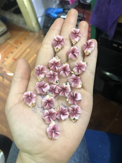 Hoa nhà e . Chụp hơi dìm tí
