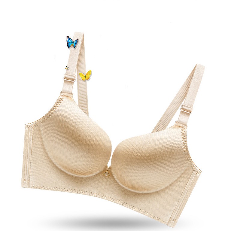 Áo Ngực Nữ Tphcm MS1315