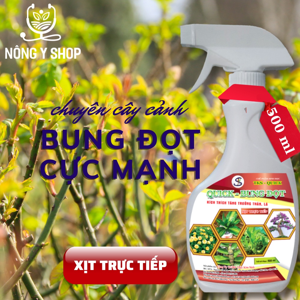 Chế phẩm pha sẵn quick bung đọt, phân bón lá dưỡng chồi trên cây cảnh - 500ml - Thủy kim sinh