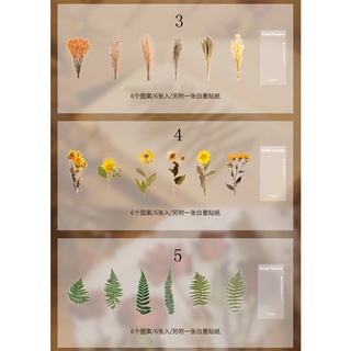 Flowertree Bộ 6 Miếng Sticker Dán Trang Trí Nhật Ký