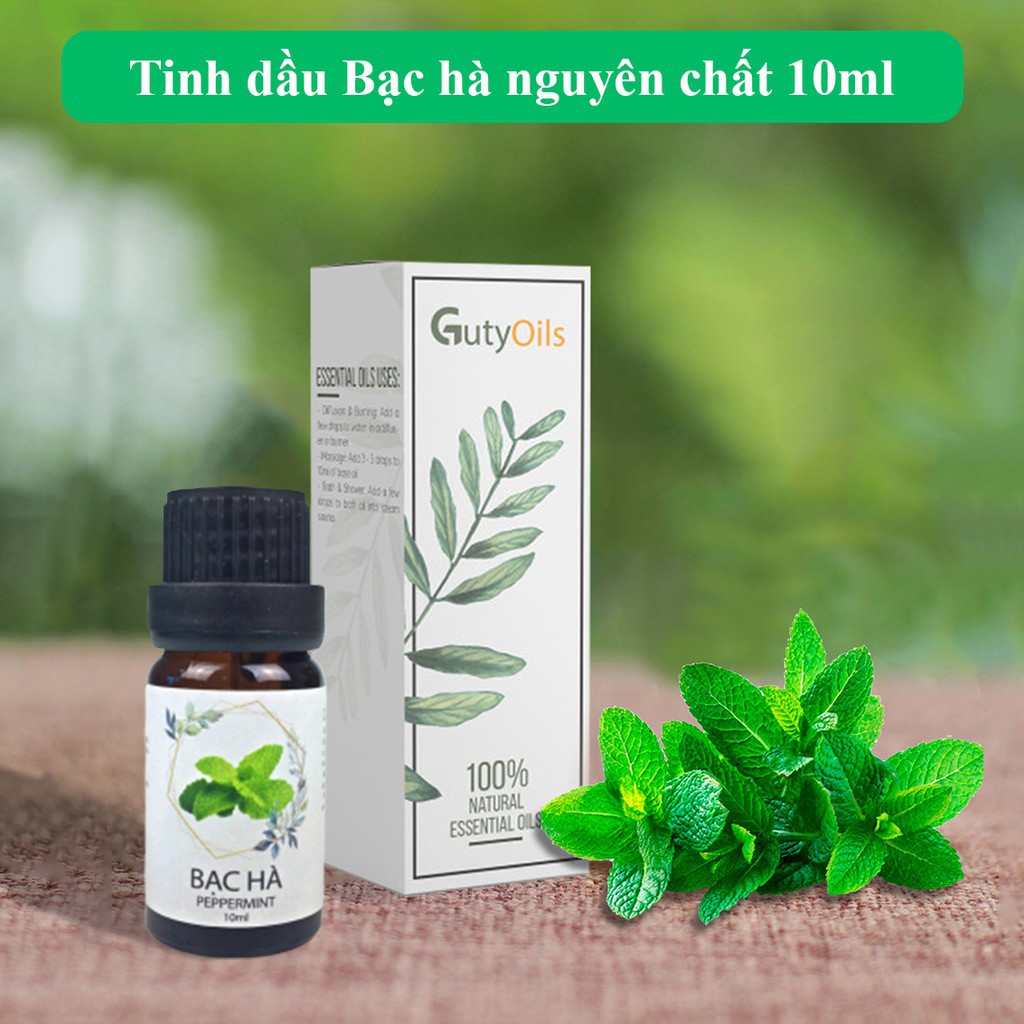 Tinh dầu bạc hà nguyên chất Guty Oils đuổi chuột, đuổi muỗi, đuổi côn trùng, giảm căng tăng, chống say xe - Lọ 10ml