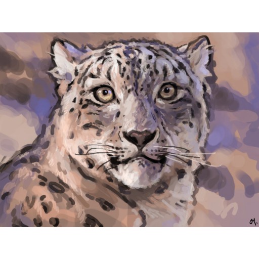 Thẻ Game Nintendo Swicth : Colors Live Tặng kèm Colors SonarPen US