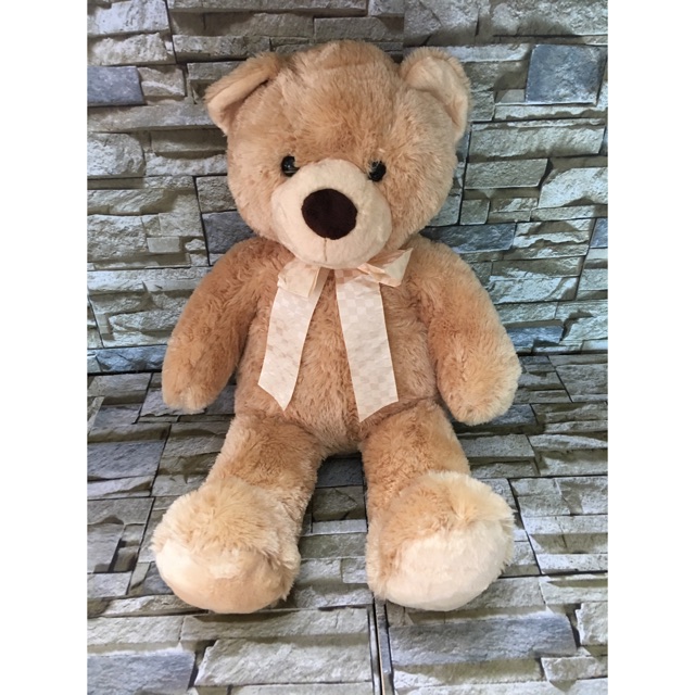 Gấu bông teddy các loại size 50-65cm tuỳ con