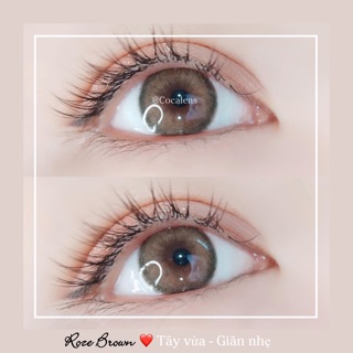 Lens giãn nhẹ ROZE bán chạy nhất shop