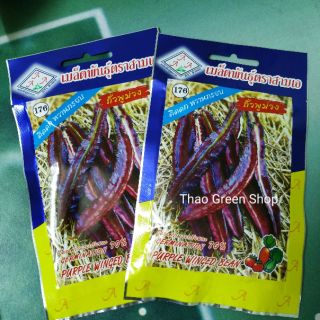 HẠT GIỐNG ĐẬU RỒNG TÍM THÁI LAN