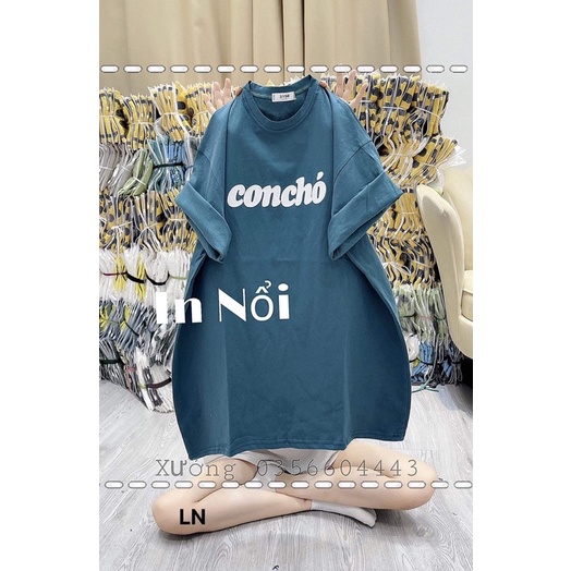 Áo phông chữ concho DA6