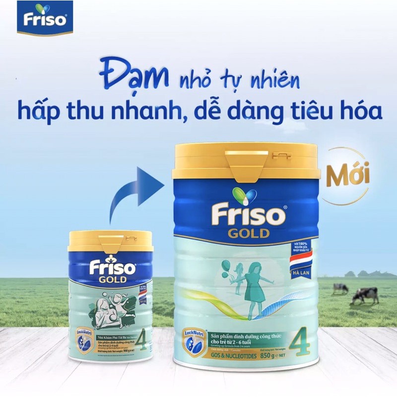Sữa bột Friso gold 4