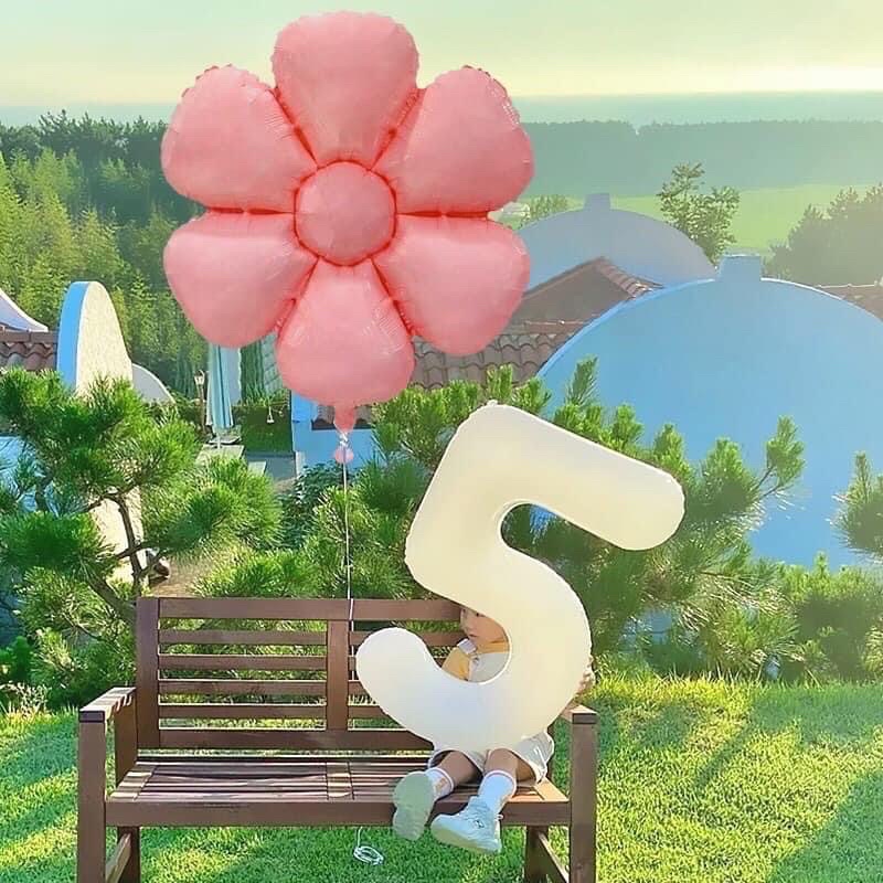 Bóng bông hoa Daisy tông màu pastel siêu xinh- Baby bee