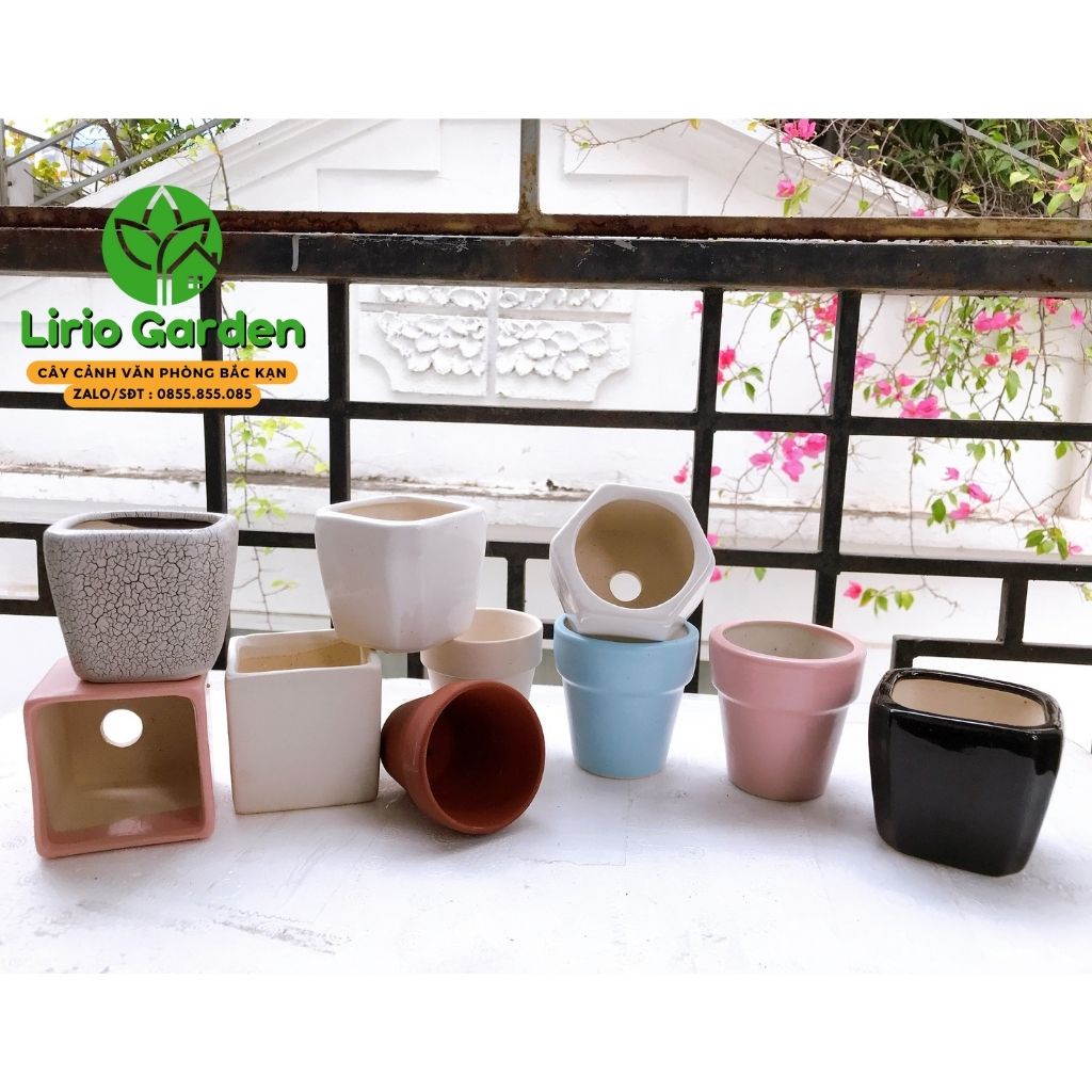 Combo 10 chậu sứ mini trồng cây cảnh , xương rồng , sen đá