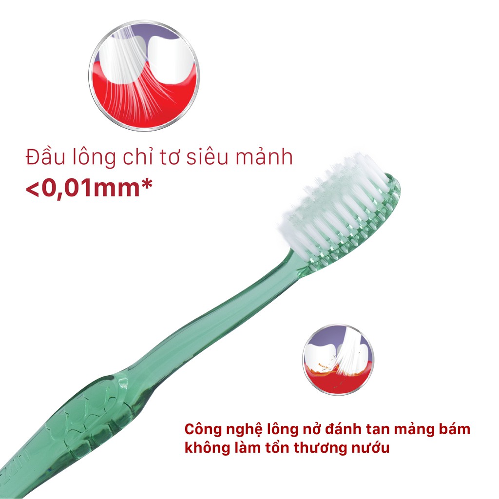 Bàn Chải Đánh Răng Lipzo Crystal Love For Girl Cho Nữ Giới  Công Nghệ Lông Nở Kết Hợp Chỉ Tơ Nha Khoa Siêu Mềm Mảnh