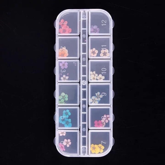 Sét hoa khô nhí 12 màu