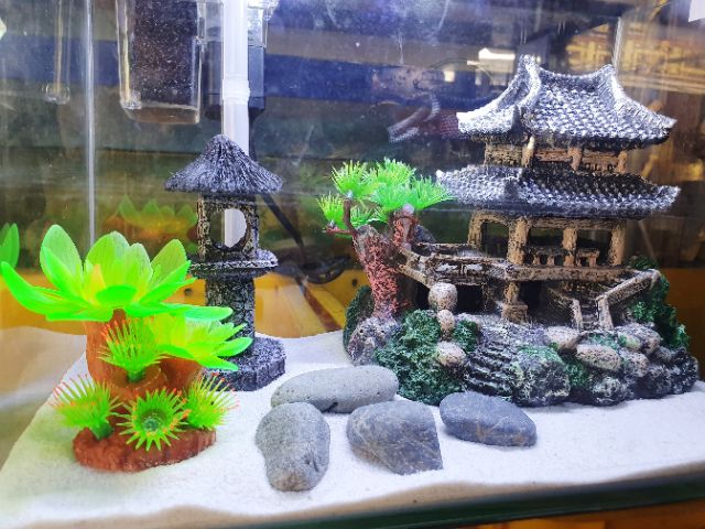 COMBO HỒ CÁ TRANG TRÍ 30x17x20cm