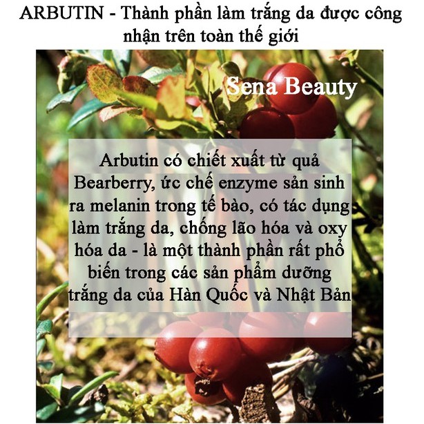 Serum dưỡng trắng da mờ nám tàn nhang Aihegskin Oilyoung Whitening Essence 15ML Senabeauty | BigBuy360 - bigbuy360.vn