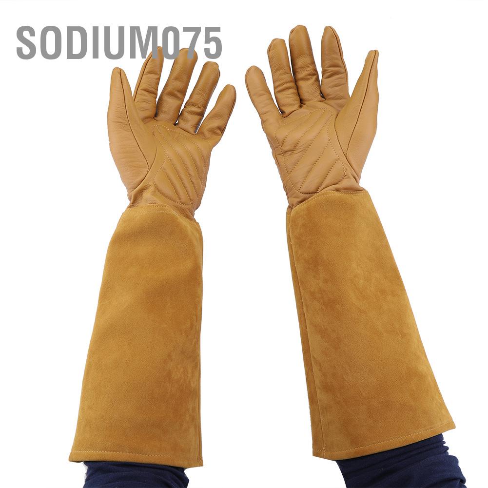 Sodium075 Sodium075 Rose Pruning Gardening Leather Gloves Wearproof Puncture Proof Long Work Glove