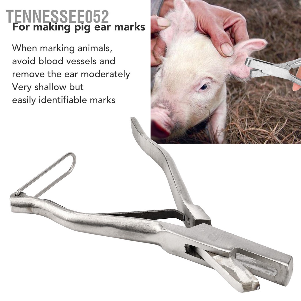 Tennessee052 Thẻ đeo thẻ tai lợn Kìm bấm lỗ động vật bằng thép không gỉ với khóa an toàn để nhận dạng dê cừu gia súc