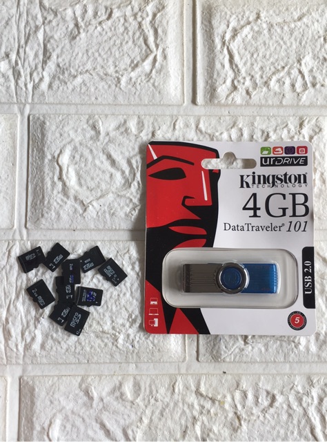 Combo 10 Thẻ Nhớ 2GB ( Tặng UsB 4GB) | BigBuy360 - bigbuy360.vn