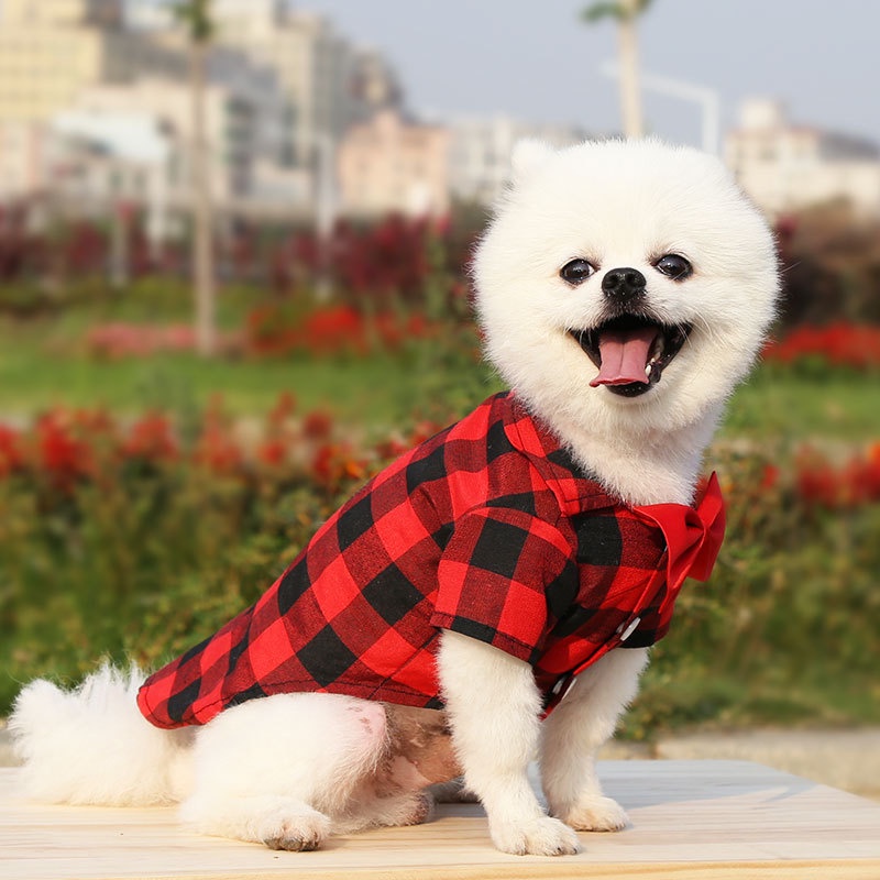 Áo Cho Thú Cưng Cỡ Nhỏ / Trung BìNh / VừA