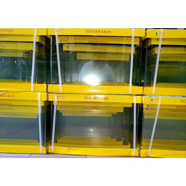 Bể Cá, Hồ Cá Đúc Uốn Góc Size 22x15x17cm - Hồ Cá Thủy Sinh Mini Để Bàn