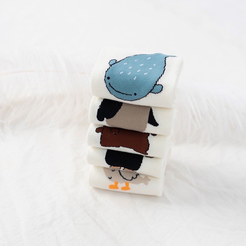 Tất nữ thấp cổ hoạ tiết các bạn thú chất liệu cotton cao cấp