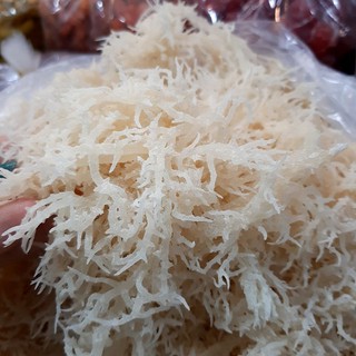 RONG SỤN GAI - 100gr haimyhm