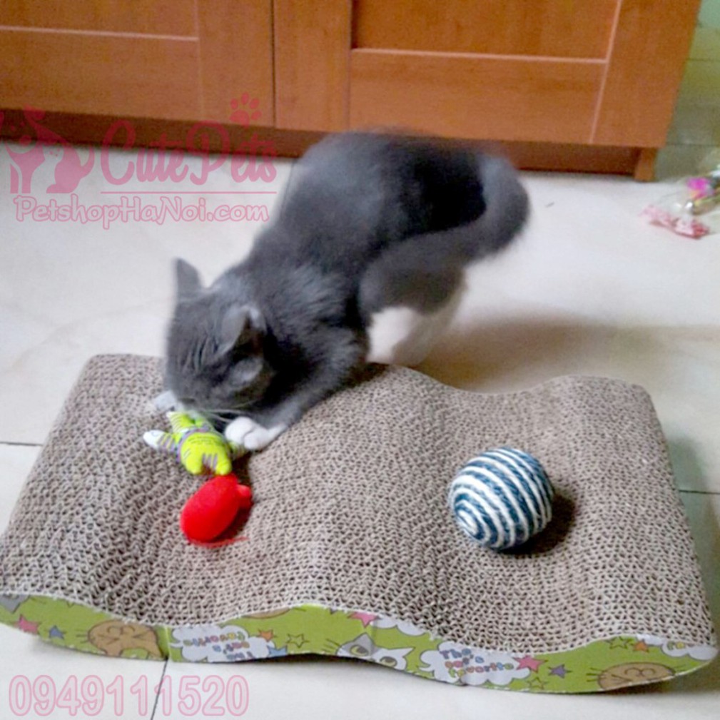 😼 Bàn cào móng cho mèo hình gợn sóng Tặng kèm catmint - CutePets Phụ kiện chó mèo Pet shop Hà Nội Hàng chính hãng