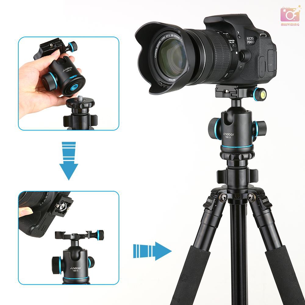 Đầu Bi Xoay 360 Độ Cho Tripod Tb81X Cho Tripod Monopod Dslr Camera Kèm 3pcs 1 / 4