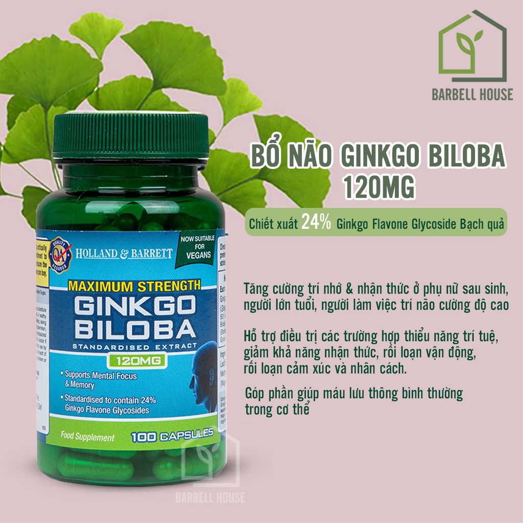 Bổ não Ginkgo Biloba 120mg - tăng tuần hoàn não, hỗ trợ trí nhớ & nhận thức Holland & Barrett 100v