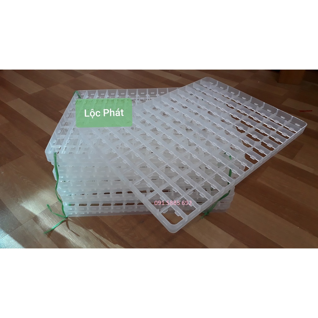 Khay Ấp Trứng Bồ Câu Đảo Nghiêng Bằng Nhựa 112 Quả/ Khay KBCTR